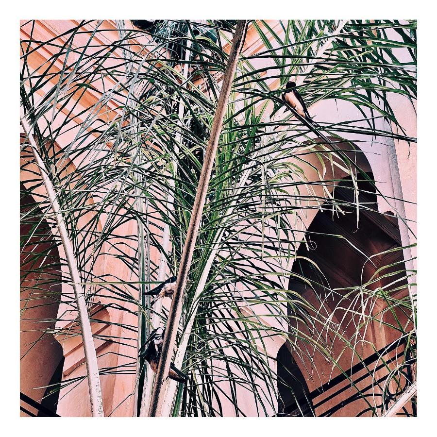 Palais Nejma Oriental Hotel Marrakesh Exterior photo